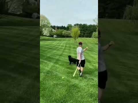 Lazy Dog Playing with Boss