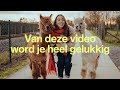 faqda #10 — Wat maakt u gelukkig tijdens corona?