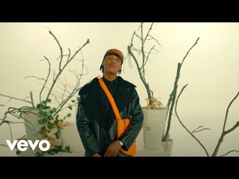 Dellbee - G.O.A.T (Official Video)