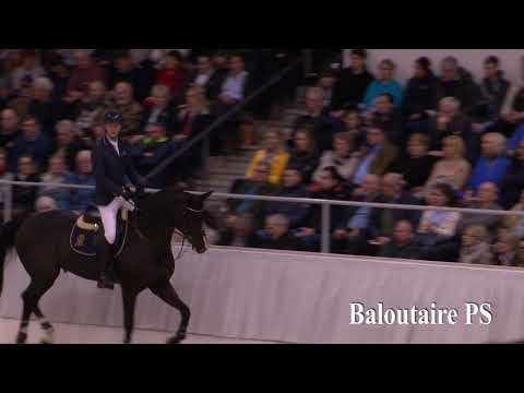 Baloutaire-Hengstkollektion 2019 deutsch