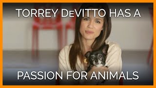 Торри ДеВито для ассоциации PETA
