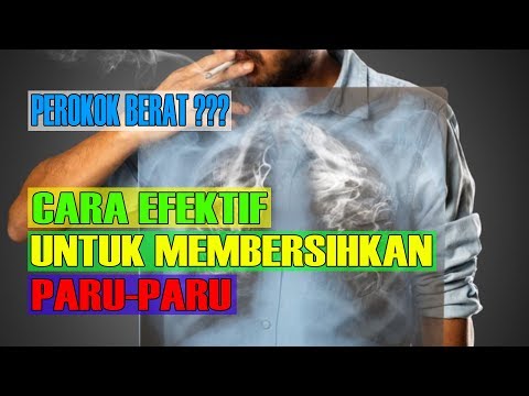 , title : 'KAMU PEROKOK BERAT? 5 CARA EFEKTIF MEMBERSIHKAN PARU-PARU'