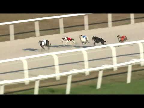 2018.10.14. - Agár futam