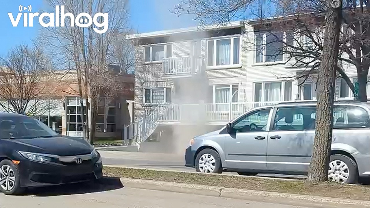 Baby Tornado in Montréal || ViralHog
