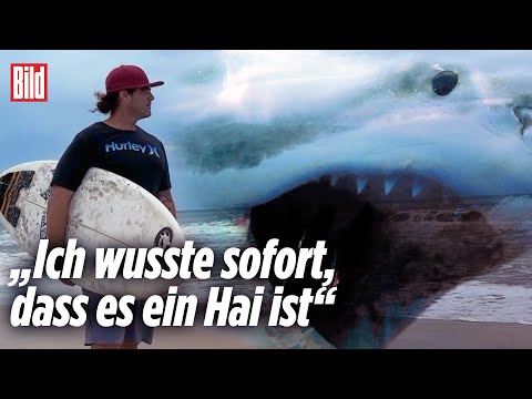 Hai macht Jagd auf Surfer in New York | Long Island