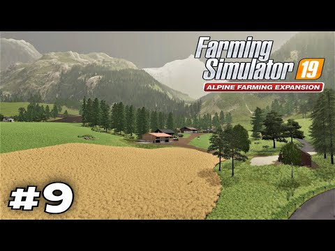 Spending all my money for 2 fields - Farming Simulator 19 Alpine DLC Erlengrat Hardcore #9 Timelapse