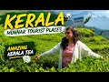 Tea Making Tea Shopping Famous Podi Dosa Munnar Day 3 Part 2