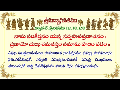 Śrīmad-Bhāgavatam (Bhāgavata Purāṇa) 12.13.23 | by HG Nithya Muktha Prabhu | 23 September 2022