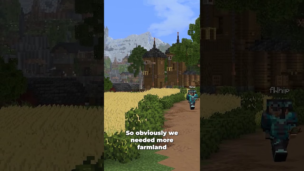 This is what End Game Minecraft Looks Like