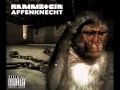 Rammstein feat metallica -wut will nicht sterben ...
