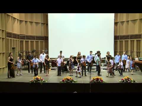 Σύνολο Εγχόρδων