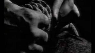 Dead Flowers - You Drink the Water, I&#39;ll Drink the Wine