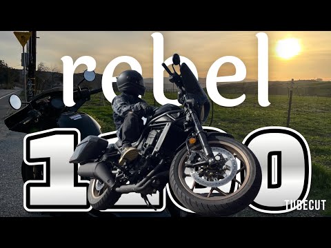 I Bought A Rebel 1100T And This Is What I Found #honda #rebel1100