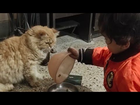 Ayaan with Melo 😉 #cat #animal