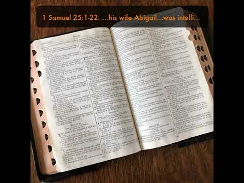 1 Samuel 25:1-22. …his wife Abigail…was intelligent and…beautiful.