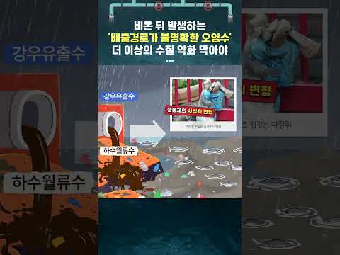 오염된 하수월류수와 강우유출수가 하천으로 유입되면?