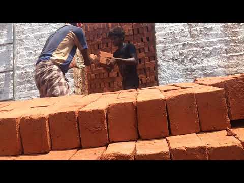 Clay rectangular wire cut brick