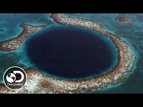 ブルーホールとは？| ブルーホールの中へ｜ディスカバリーライブ：ブルーホールの中へ (What is a Blue Hole? | Discovery LIVE: Into the Blue Hole)