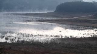 preview picture of video 'Lake wet fog'