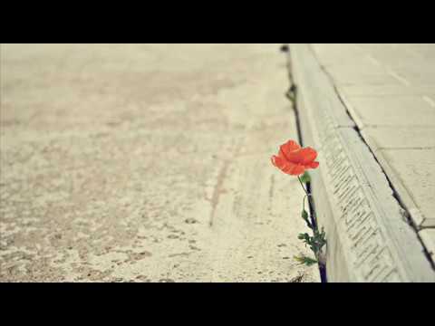 PRESSING ON by Lawrence Darmani