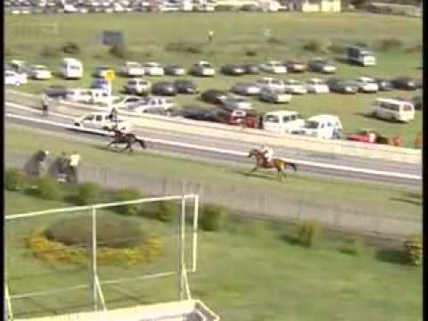 Green Keeper - J.Geroudis - 2012 Mohammad Moorad Keerpah - Free Horse Racing Tips