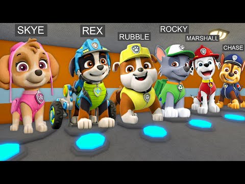 ALL PAW PATROL MORPHS! SKYE, REX, RUBBLE... in BARRY'S PRISON RUN!