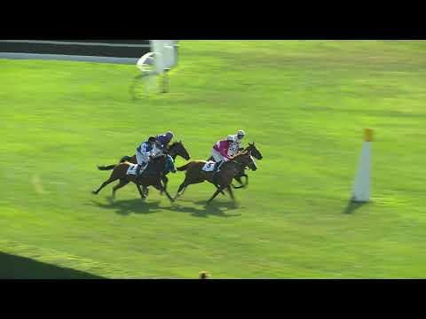 PE, 23. 6. 2019, 7. dostih - Cena společnosti EXPLOSIA a.s.