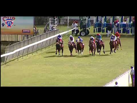 RM16 R1 | Lady's Knight | D.Holland