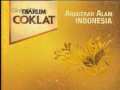 Globaltv Djarum Coklat 22 36 16 2