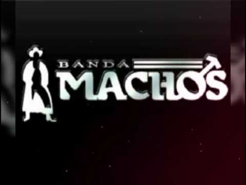 La niña fresa Banda Machos (Canción Oficial de la Banda Z )