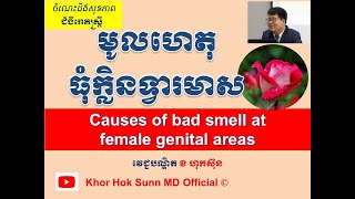 មូលហេតុធុំក្លិនទ្វារមាស l Causes of bad smell at female genital areas ll @khorhoksunnmdofficial