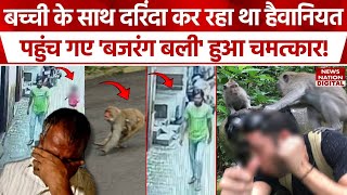 Re: [爆卦] 印度猴子救了差點被強姦的6歲女童