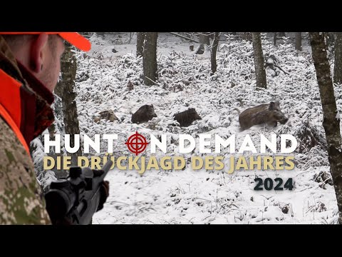 🐗❄️  WILD BIRDS IN THE SNOW ❄️🐗 The Hunt on Demand driven hunt of the year 2024 – the first 26 mi...