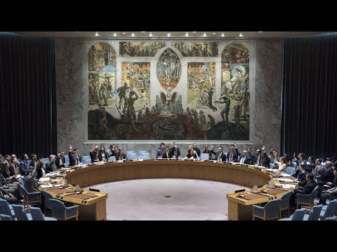 Directo | El Consejo de Seguridad de la ONU se reúne para debatir sobre Venezuela