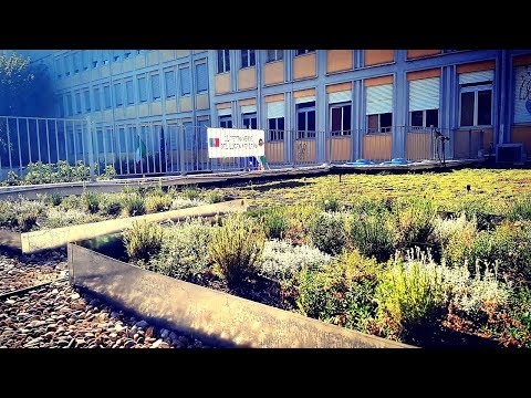 Liceo Scientifico Keplero Experimental Green Roof - Greenroofs.com Featured Project