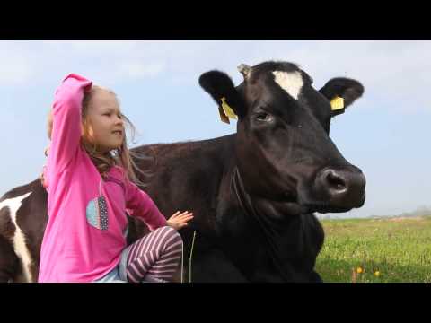 Ein Lied für Manuela