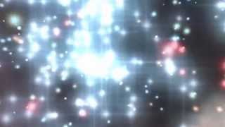 Court Yard Hounds - Skyline