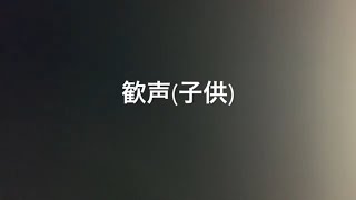 【おすすめ】色んな効果音紹介part2