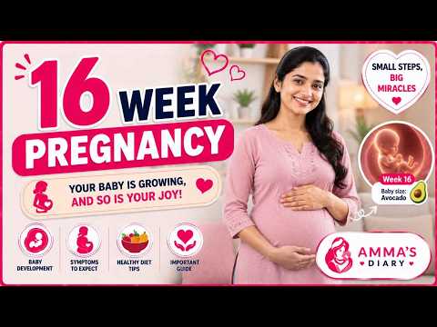 Week 16 Pregnancy | Baby Development & Body Changes!