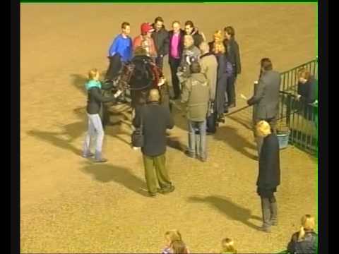 Productendraverij A - Adonis Boko