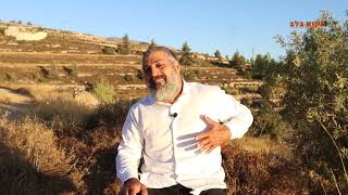 "צבי יחזקאלי: מלחמות בעזה ולוחמי ג'יאהד איך מקבלים שמירה תמידית מבורא עולם... המלחמה היא בלב שלנו"..