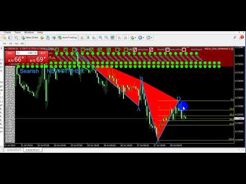 Video Milch Cow Harmonic