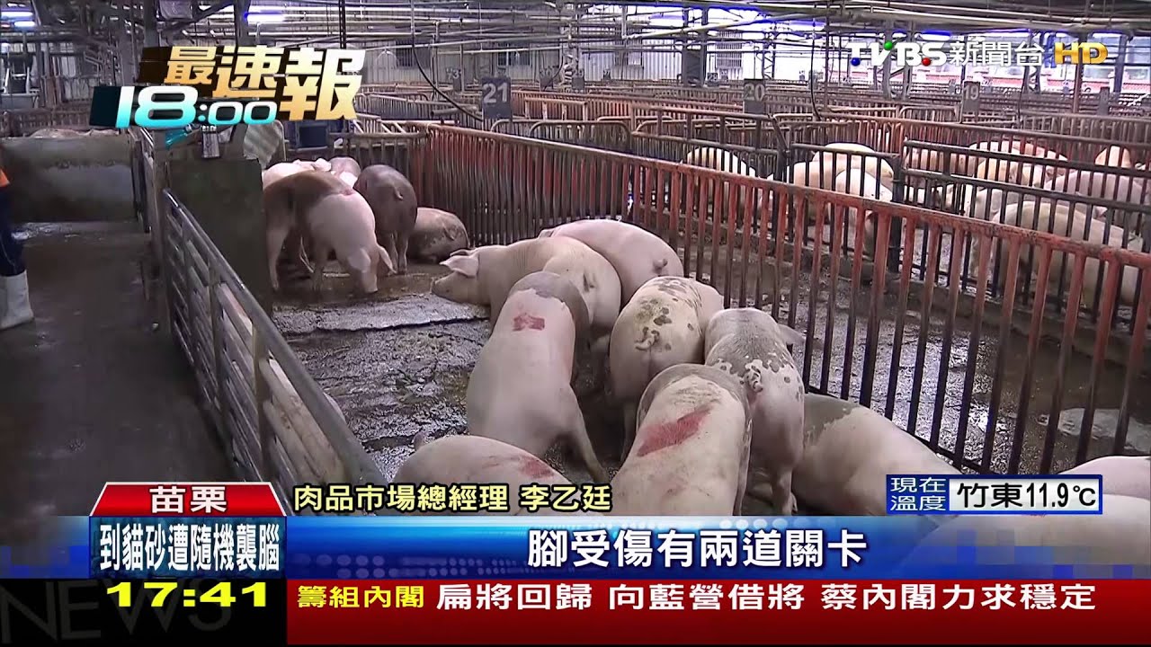 苗肉品市場遭控賣「病死豬」　市場出面駁斥