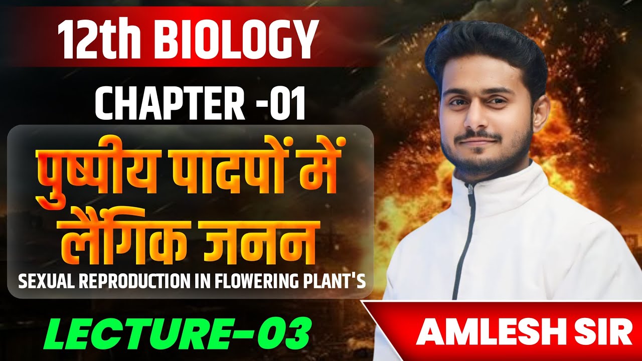 12th Biology - Chapter 01 | Sexual Reproduction in Flowering Plants | Lecture 03 | Amlesh Sir