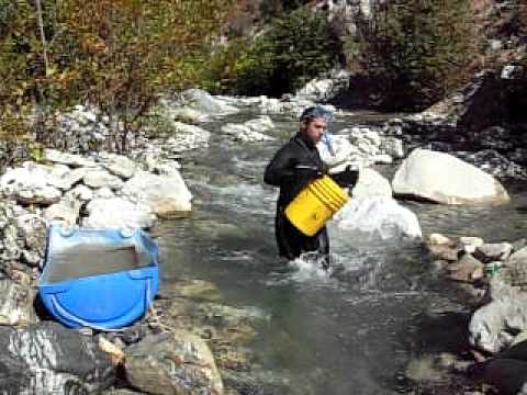 Luis, sniping for Gold Nuggets.