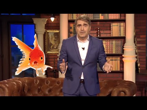 VTIP: Vychodňar chytil zlatú rybku...