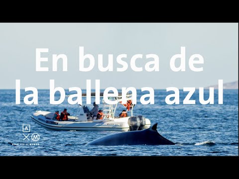 Loreto | Baja trip #11 Alan por el mundo