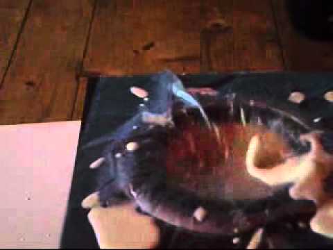 Electric Fence Eurovision 2012