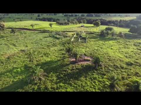 Leilão de Sítio em Espigão D’Oeste/RO. Dia 03/03/26