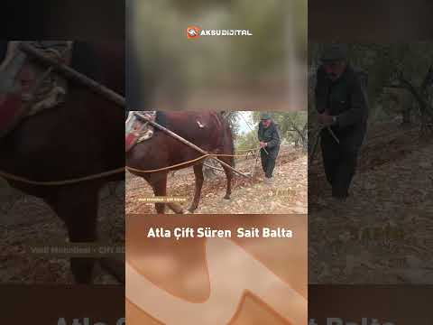 Eskiden Atla Tarla Sürenlerin Zorlu Hayatı! Emek, Sabır ve Gerçek Anadolu Hikayesi